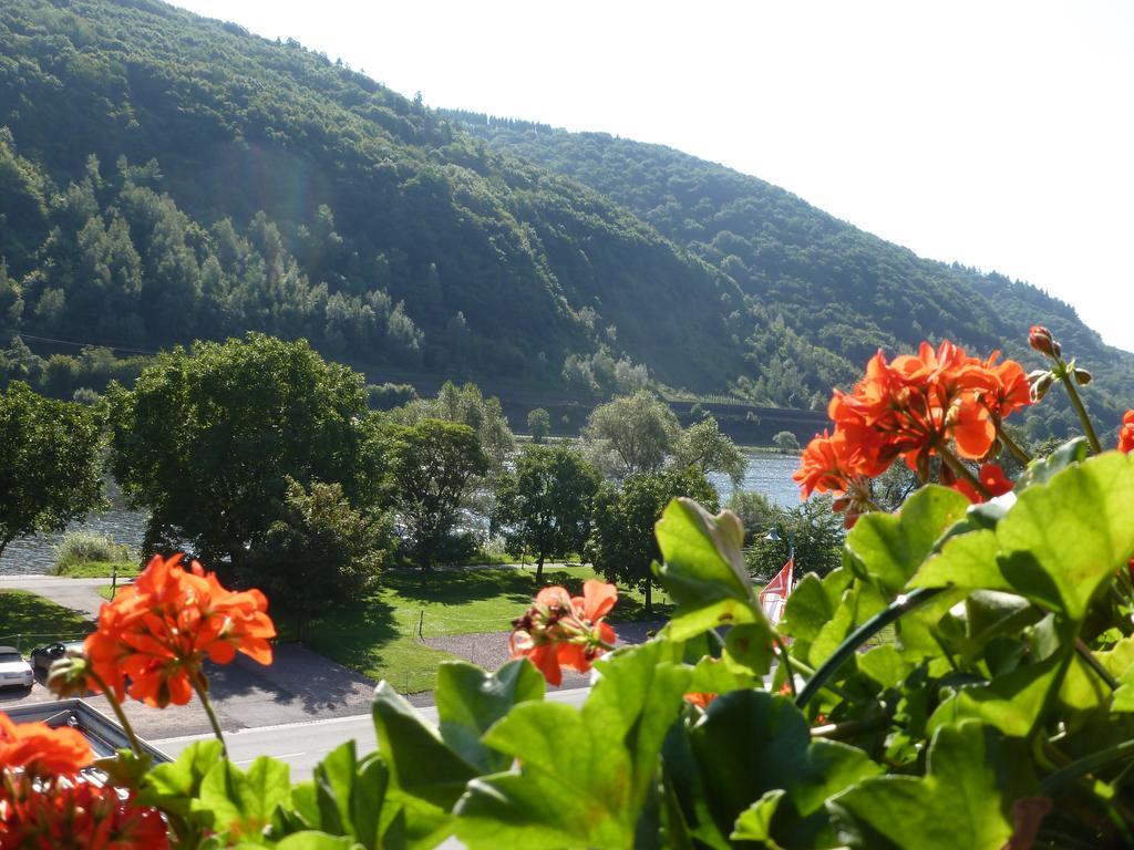 Appartement Scheid Volker Sankt Aldegund