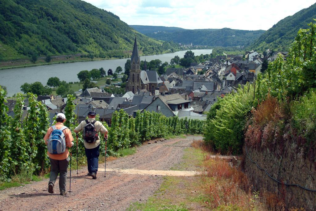 Scheid Volker Appartement Sankt Aldegund
